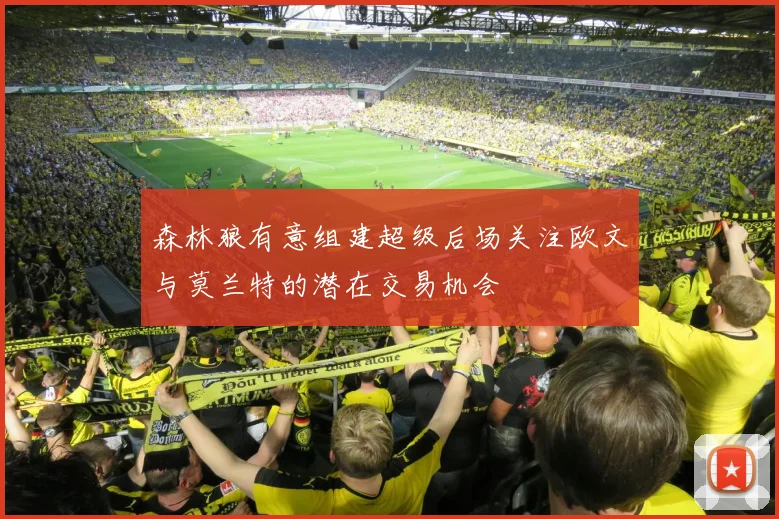 森林狼有意组建超级后场关注欧文与莫兰特的潜在交易机会